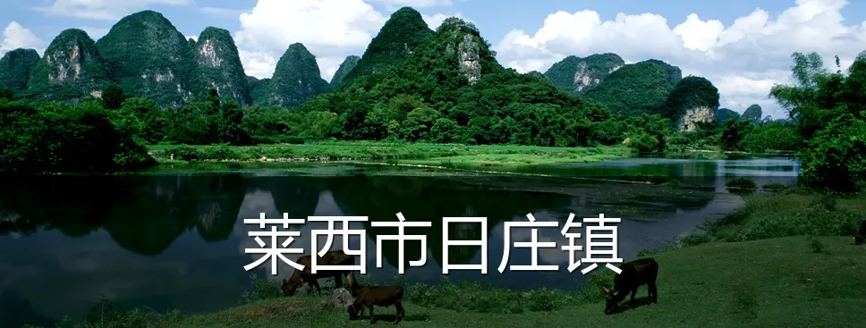 莱西市日庄镇